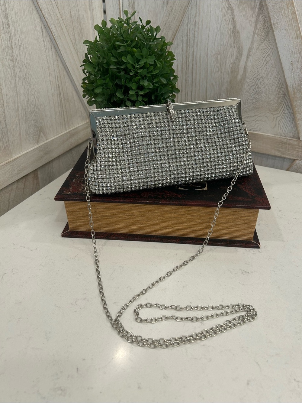 Natasha Couture Silver Crystal Evening Clutch with Chain